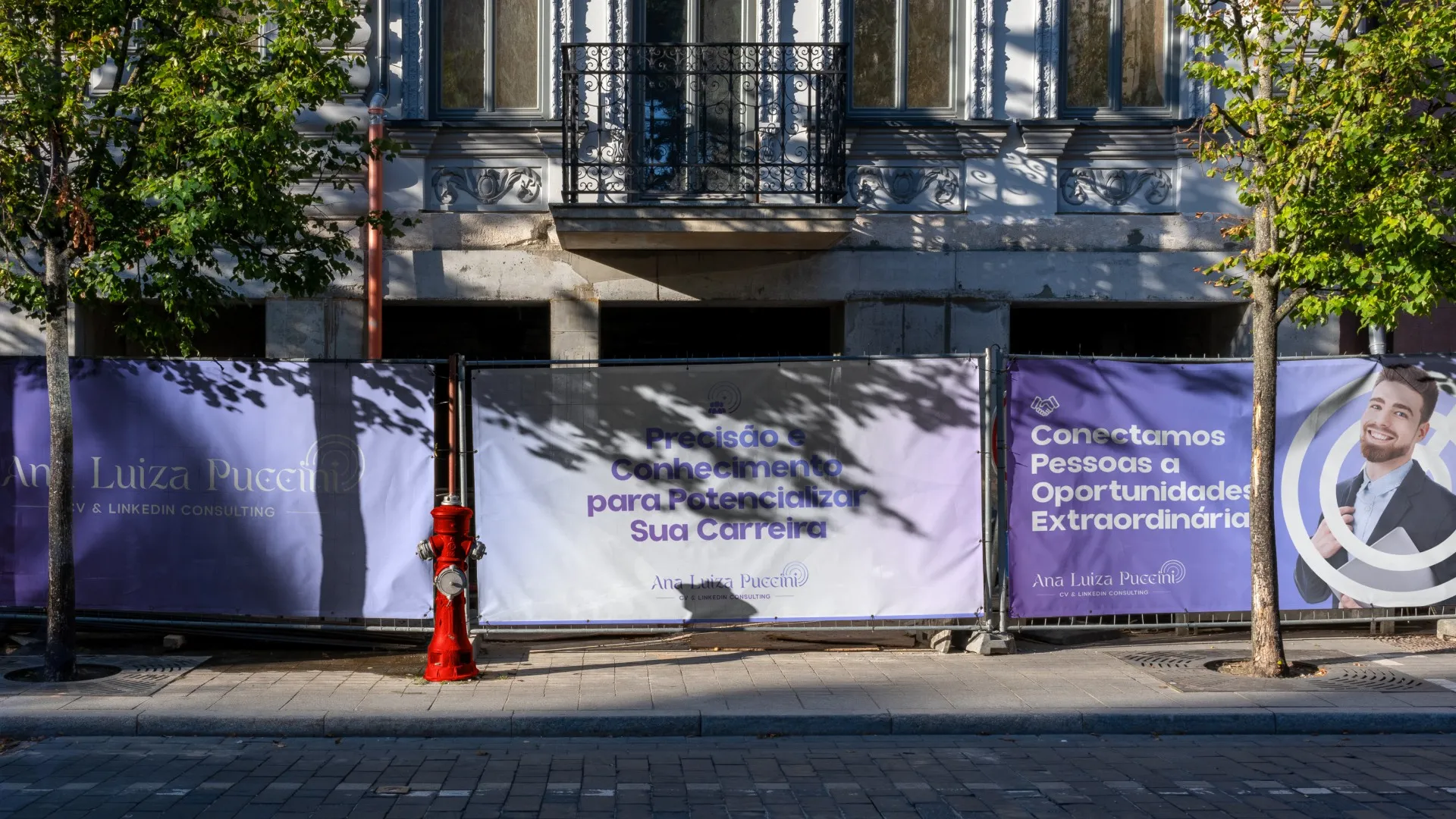 Ana Luiza Puccini: Tapume